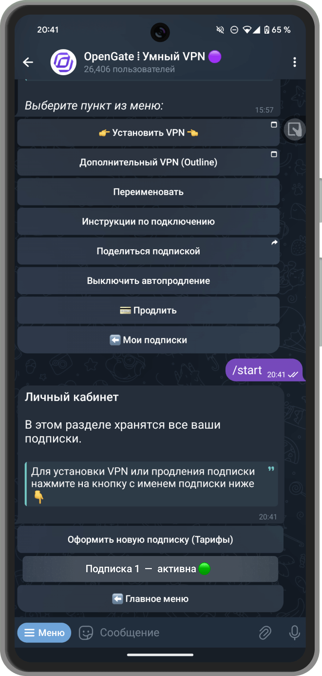 Скриншот: Выбор подписки