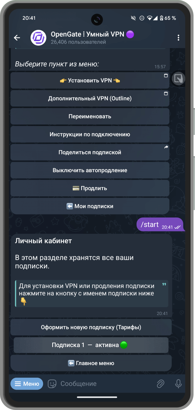 Скриншот: Выбор подписки