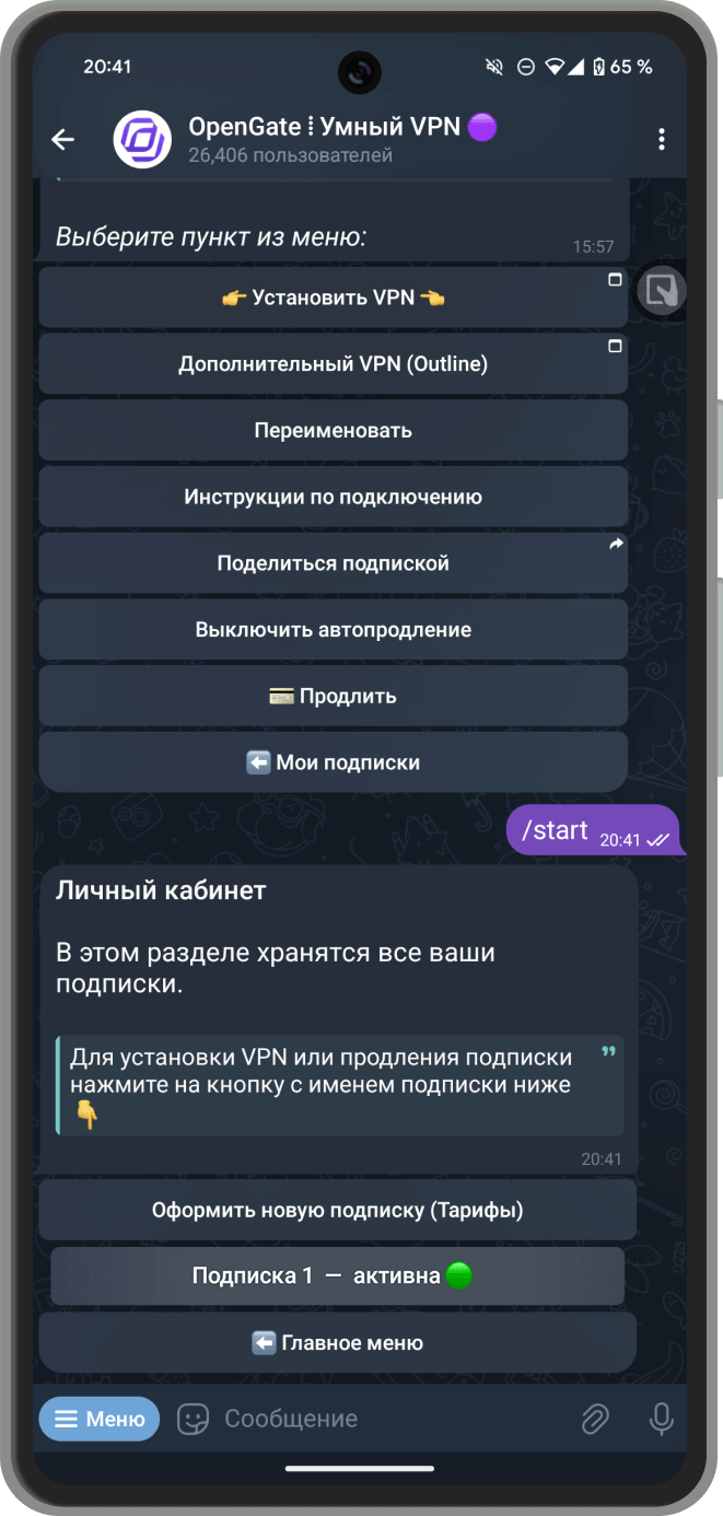 Скриншот: Выбор подписки