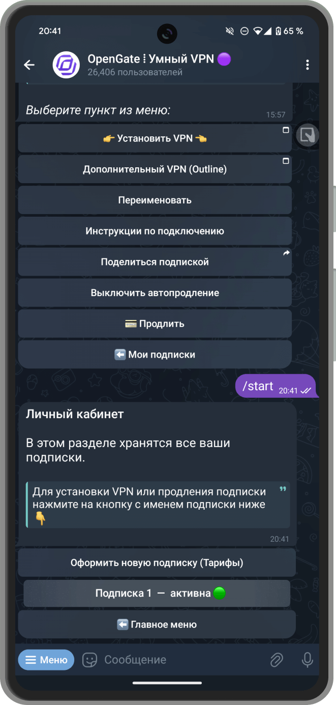 Скриншот: Выбор подписки